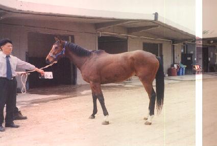 ť���� ����