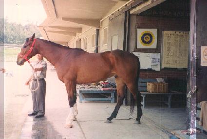 ����������Ǯ�� ����