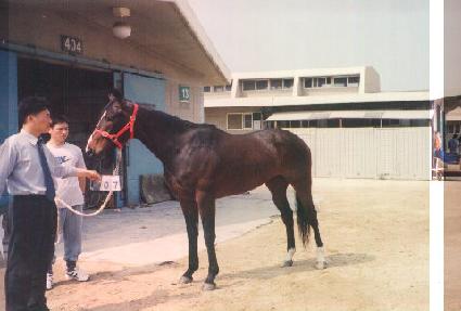 �̽��ͽ�Į���� ����