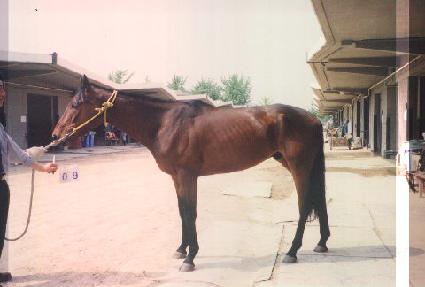 ����ĭ�ø�Ʈ ����