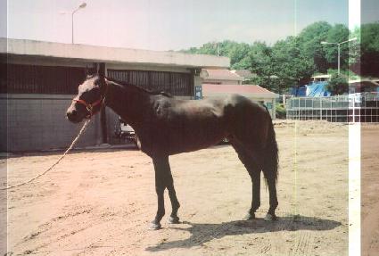 ����Ŀ���� ����