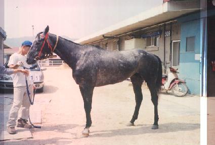 ��ī���� ����