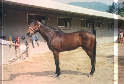 ����������� ����