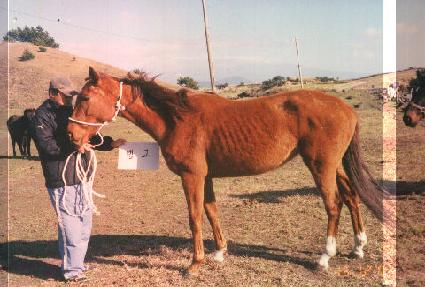 ����Ȧ ����