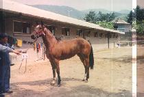 FASHION SECRETS ����