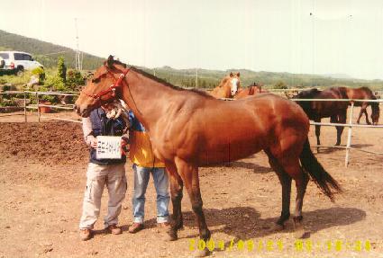 �������Ͼ� ����