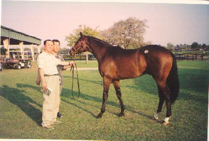 ���������� ����