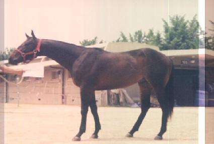 ���丮������Ʈ ����