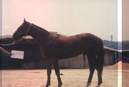 �޷��ڽ� ����