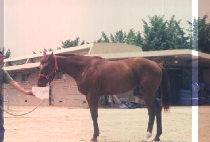 �����̿콺 ����