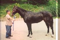 ��Ÿ�� (COUP TIME) ����