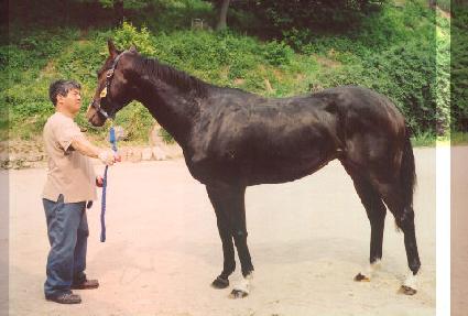 ��Ÿ�� ����