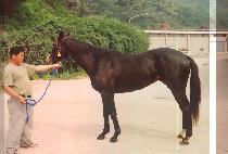 �������̾� (ISAIAH) ����