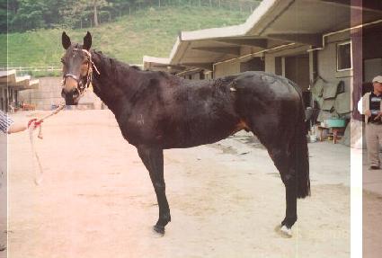 ����Ű ����