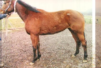 �˽��۷θ� ����