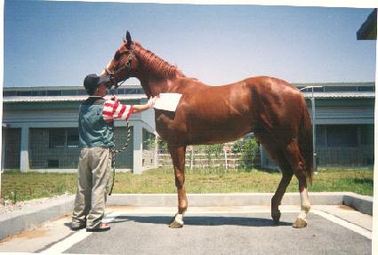 ����ȷ� ����