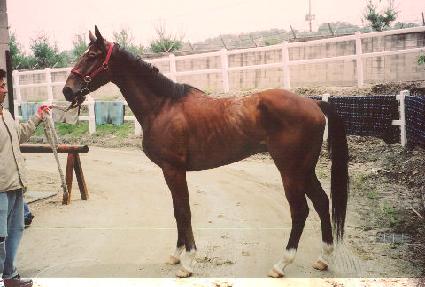 ���͹���Ͼ� ����