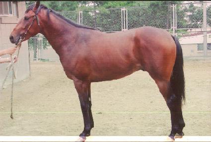 �������õ ����