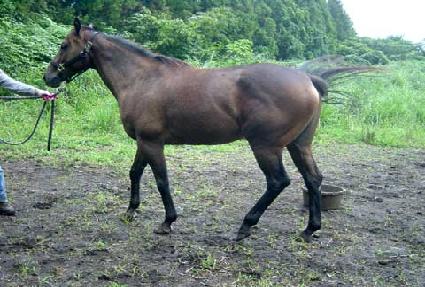 ����ӳͽ� ����