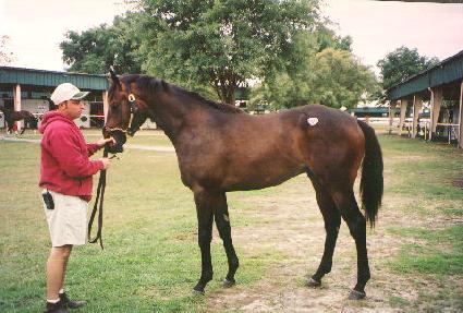 �ΰ����̿��� ����