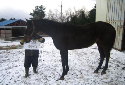 ���̽��ͷ����̵� ����