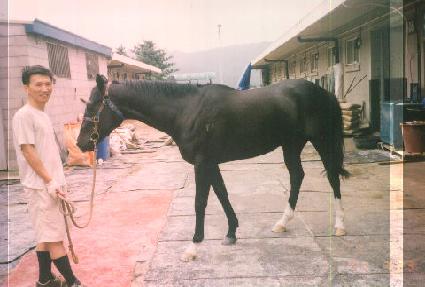 Ű������ ����