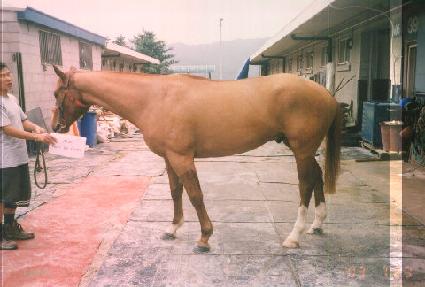 ����ǳ ����