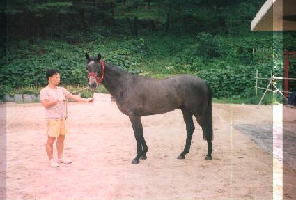 �ǹ������� ����