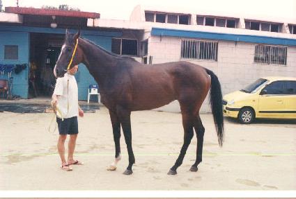 ����ġ ����