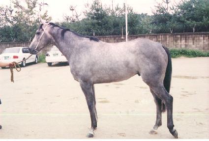 ����Ƽ��� ����