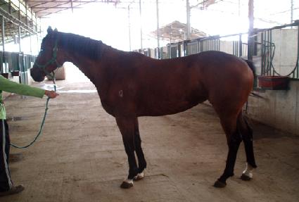 ���̽����� ����