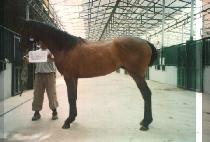 ����� (GEUMTOSA) ����