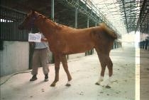 �ܱ� (DAN GEUM) ����