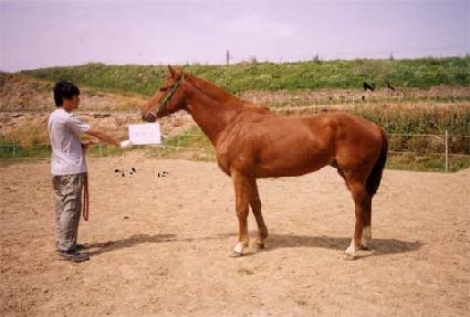 �ݰ�� ����