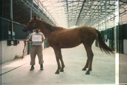 ���� ����