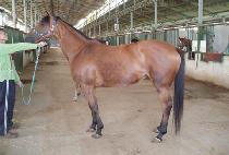 ���߸��� (MYEONGGYEONMANRI) ����