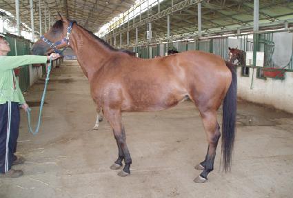 ���߸��� ����