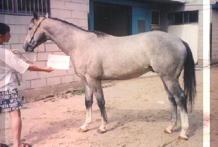 �������� ����