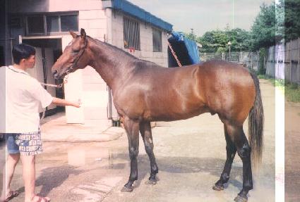 ŷƮ���� ����