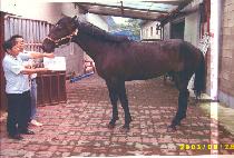 �ٿ�Ƽ����� (BOUNTY��S WAY) ����