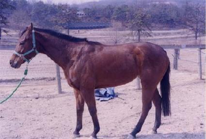 �����̽������̽� ����