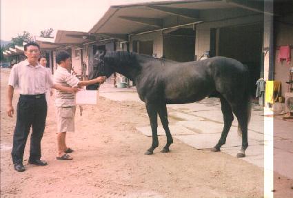 ����Ŷ�� ����