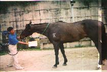 �� (SANGYEON) ����