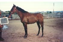 ĸƾ���ʷ� (CAPTAIN GENERAL) ����