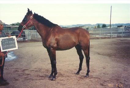 ĸƾ���ʷ� ����