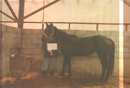 ĵ�� ����