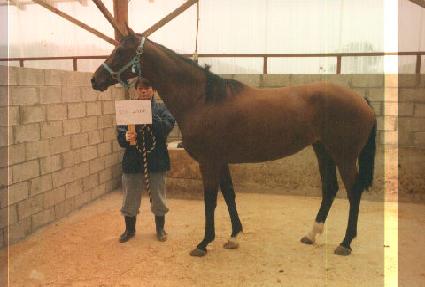 �����̵��� ����