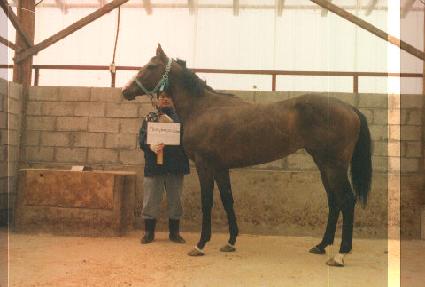 �ø���۴Ͻù� ����