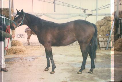 ȭ��Ʈ��Ƽ ����