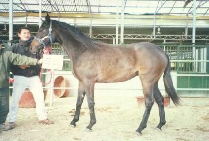 õ������ ����